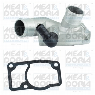 Thermostat, coolant